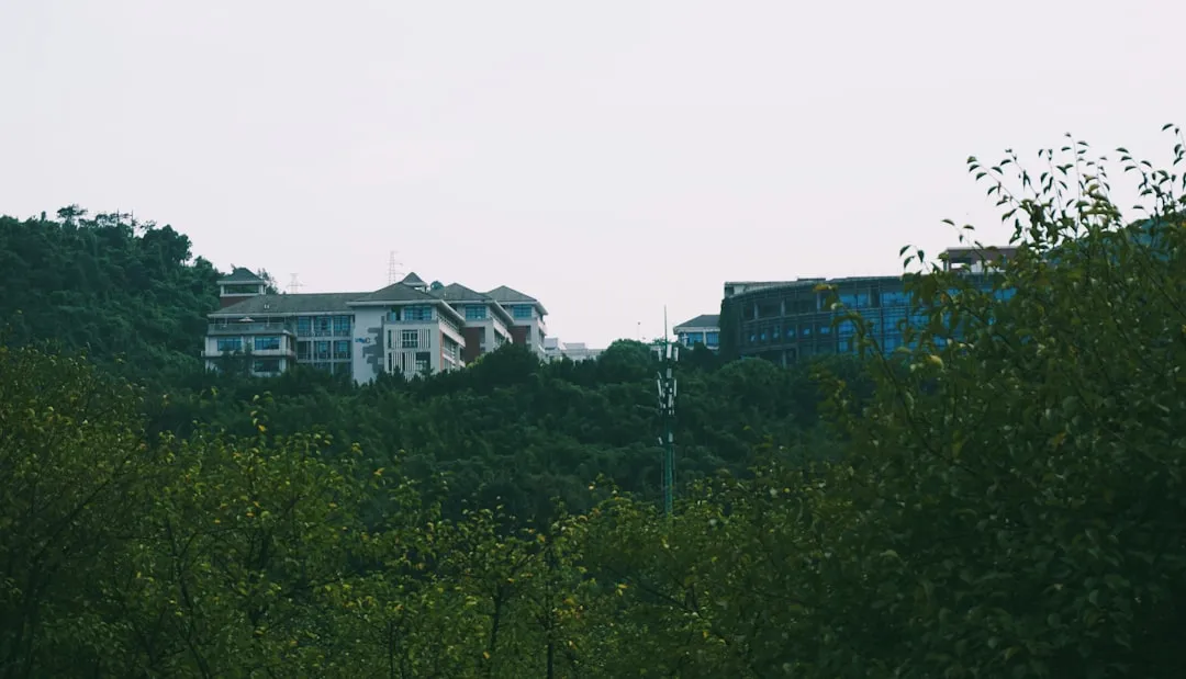 成都妈妈爱幼儿园双语课程体系与艺术启蒙课程解析